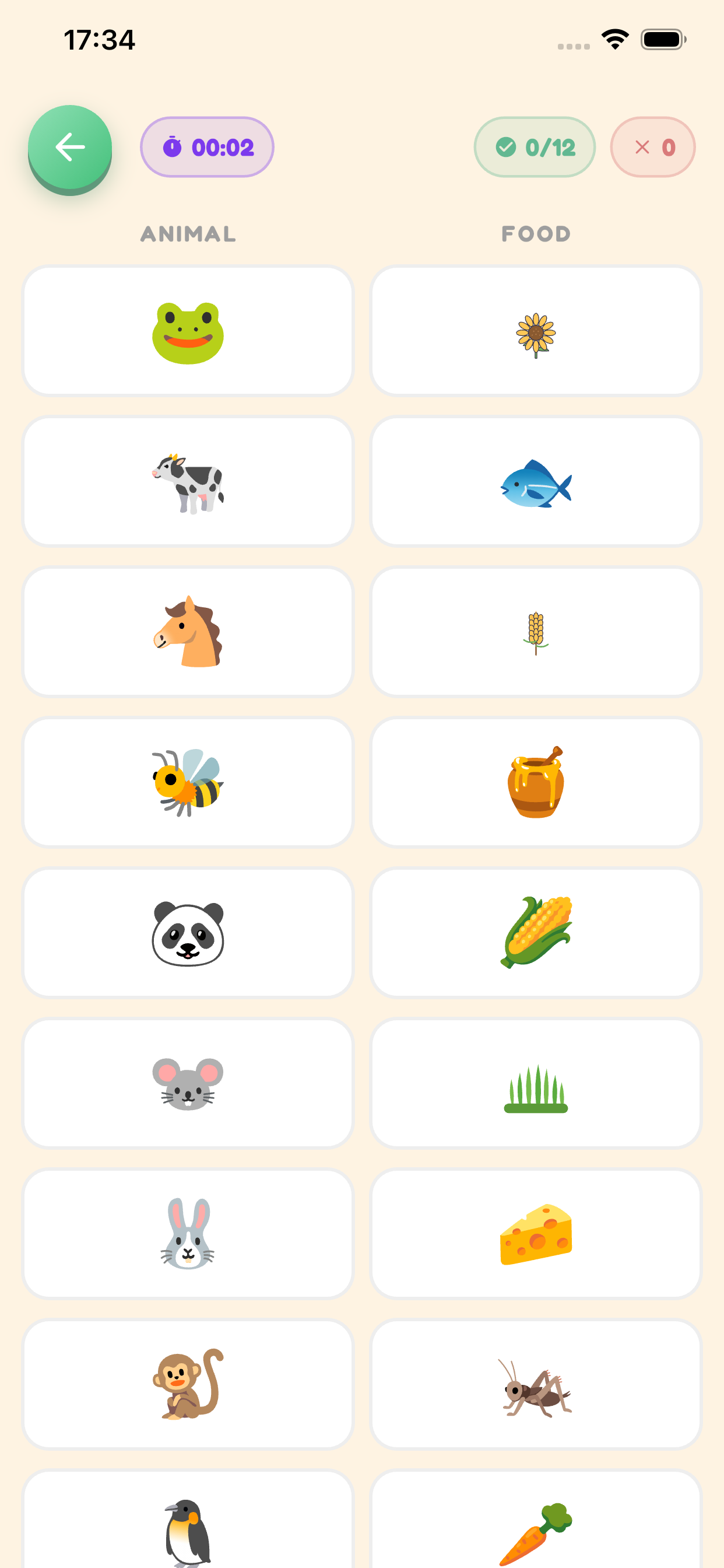 Pairs gameplay