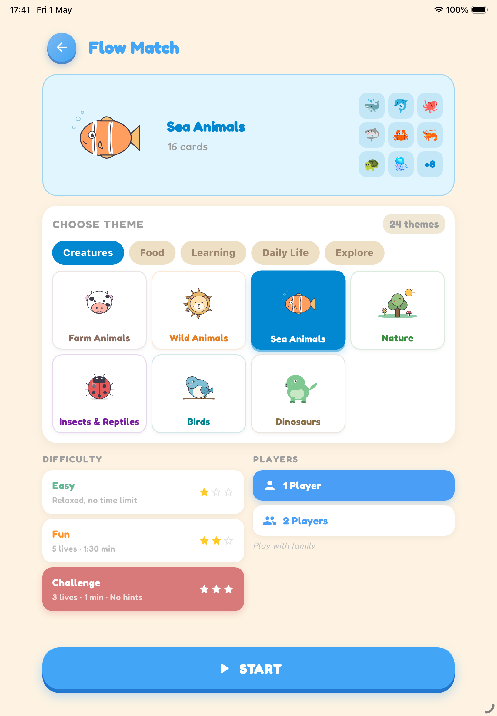 Flow setup — iPad