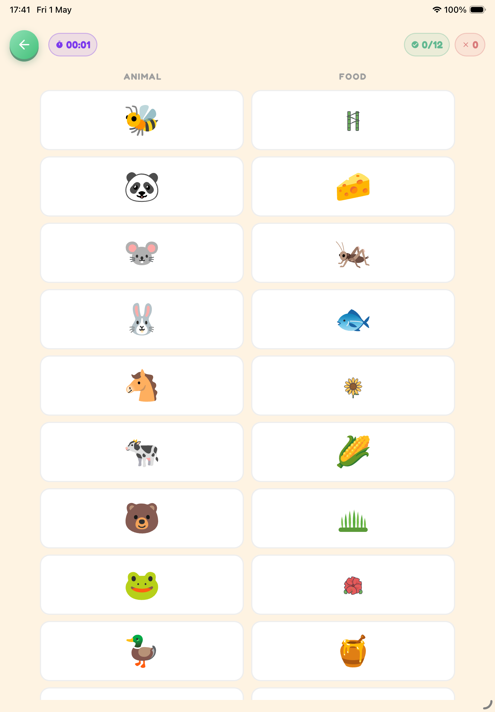 Pairs gameplay — iPad
